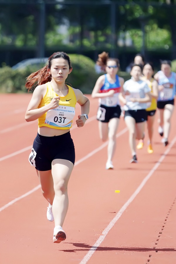 绿茵体育全站经销商管理平台注册与资质审核入口