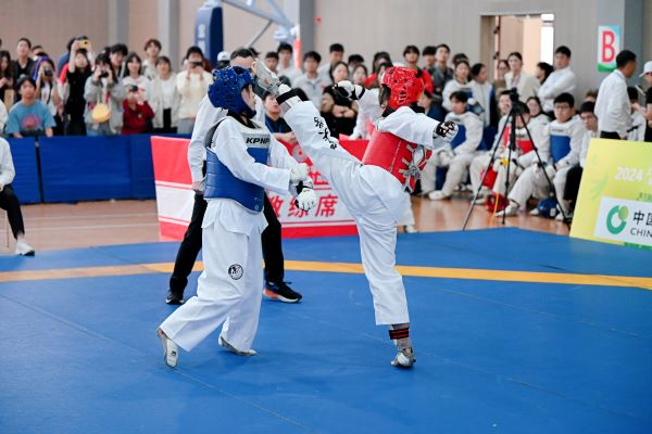 绿茵体育全站专属采购通道登录与订单提交通道