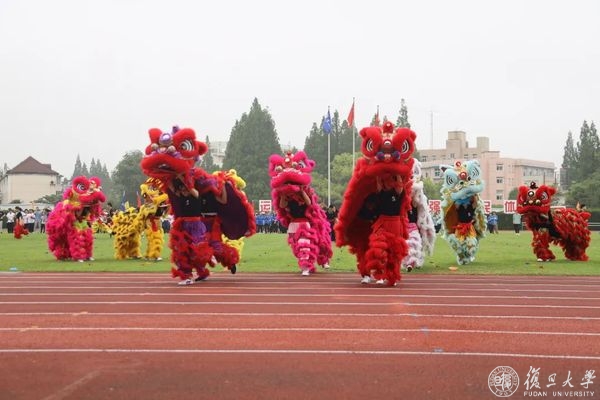 绿茵体育全站标准网络访问地址与节点安全配置