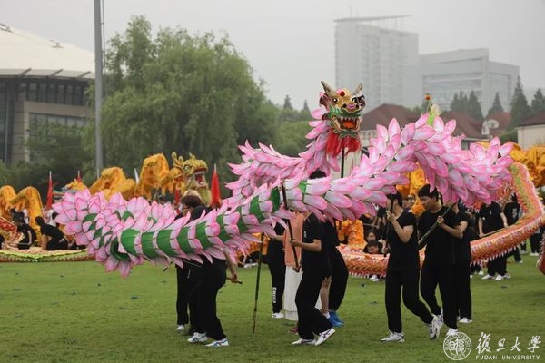 绿茵体育官方指定会员登录入口与客户服务管理系统