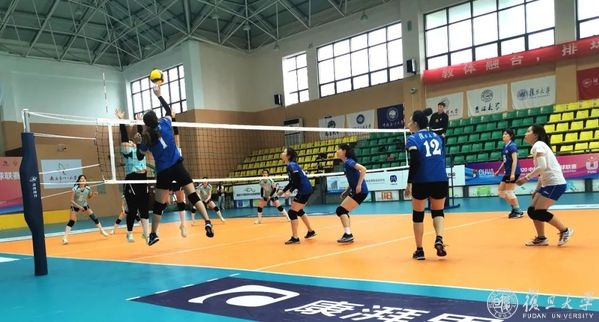 绿茵体育官方指定会员登录入口与客户服务管理系统
