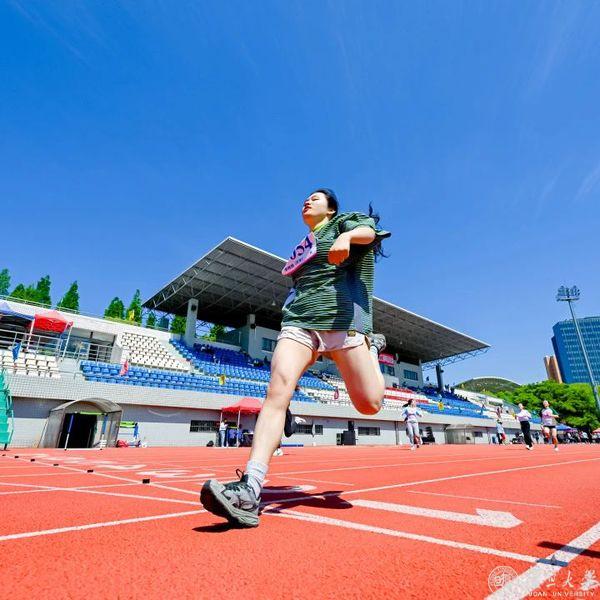 绿茵体育全站商务合作信息公开网站内容管理中心