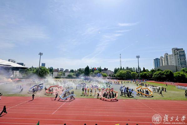 绿茵体育全站经销商管理平台注册与资质审核入口